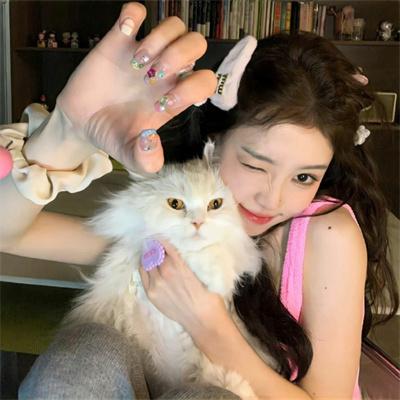 狐王殿下恋爱了